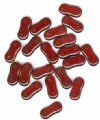 20 4x16mm Two Hole Spacer - Transparent Garnet